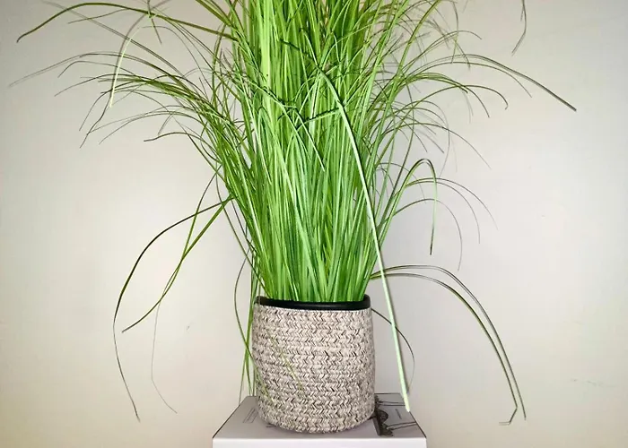 Views Am Schaffhauserplatz * Zurique