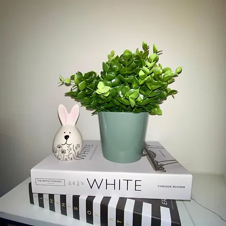 Views Am Schaffhauserplatz *