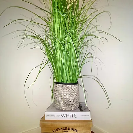 Views Am Schaffhauserplatz * Zürich