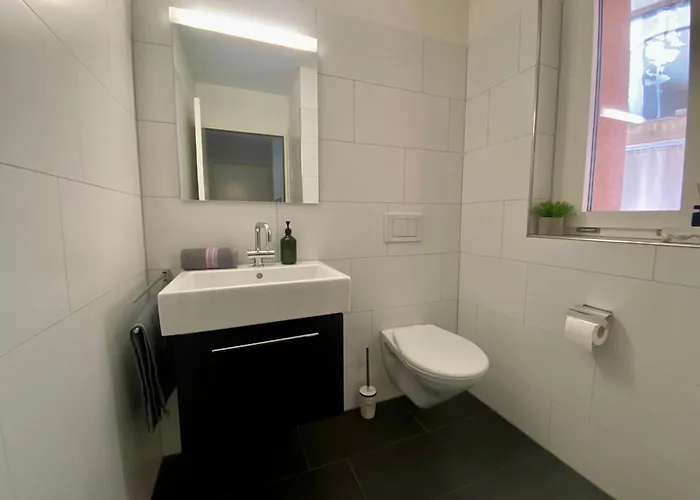 Views Am Schaffhauserplatz Zürich