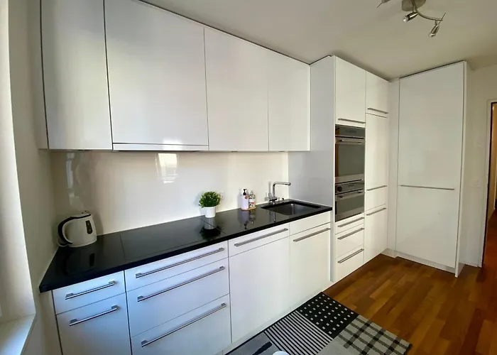 Views Am Schaffhauserplatz Lejlighed Zürich