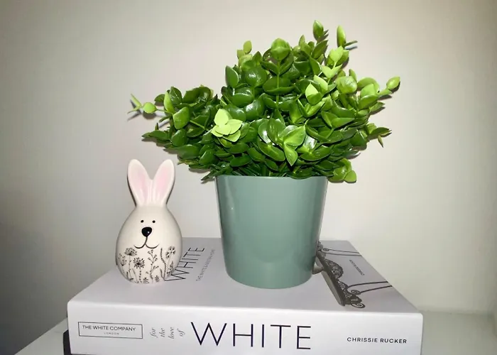 Views Am Schaffhauserplatz *